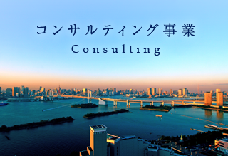 コンサルティング事業｜Consulting